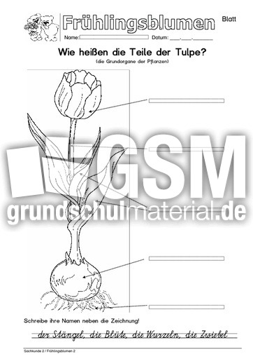 Arbeitsblatt S95 2.pdf